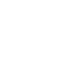 Champagne Julie Nivet